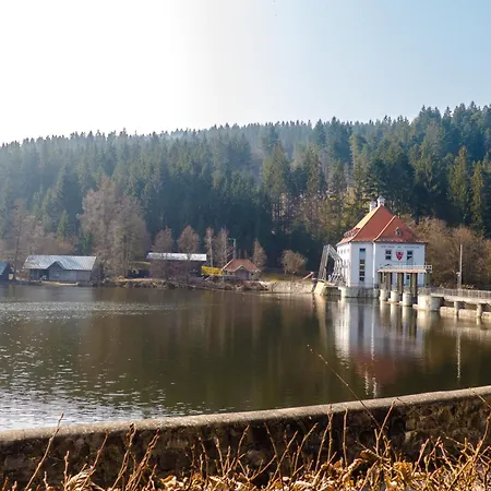 Nr 3d, Hagbuegerl, Bayr Wald * Waldmünchen