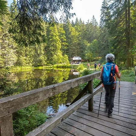 Dom wakacyjny Nr 3d, Hagbuegerl, Bayr Wald