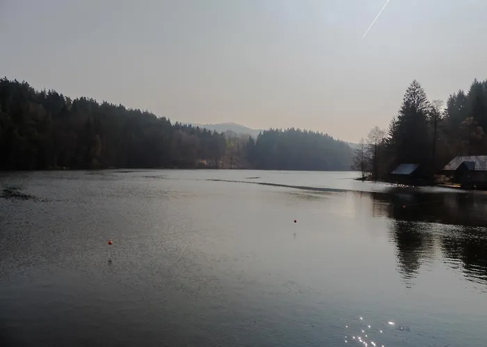 Nr 3d, Hagbuegerl, Bayr Wald Tatil Evi Waldmünchen