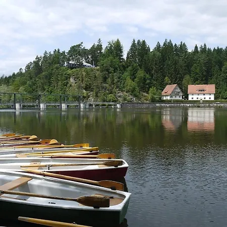 Nr 3d, Hagbuegerl, Bayr Wald Holiday home *