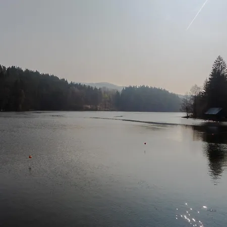 Nr 3d, Hagbuegerl, Bayr Wald Holiday home Waldmuenchen