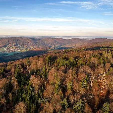 Nr 3d, Hagbuegerl, Bayr Wald *