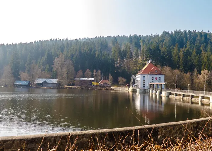 Nr 3d, Hagbuegerl, Bayr Wald * Waldmünchen