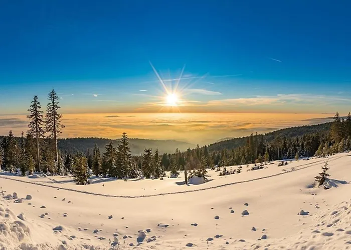 Nr 3d, Hagbuegerl, Bayr Wald Hébergement de vacances *