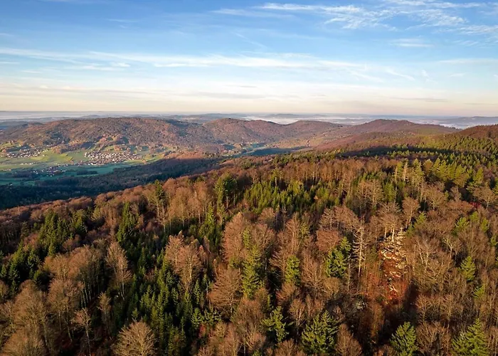 Nr 3d, Hagbuegerl, Bayr Wald *