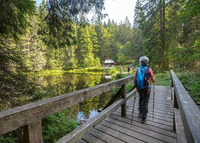 Hébergement de vacances Nr 3d, Hagbuegerl, Bayr Wald